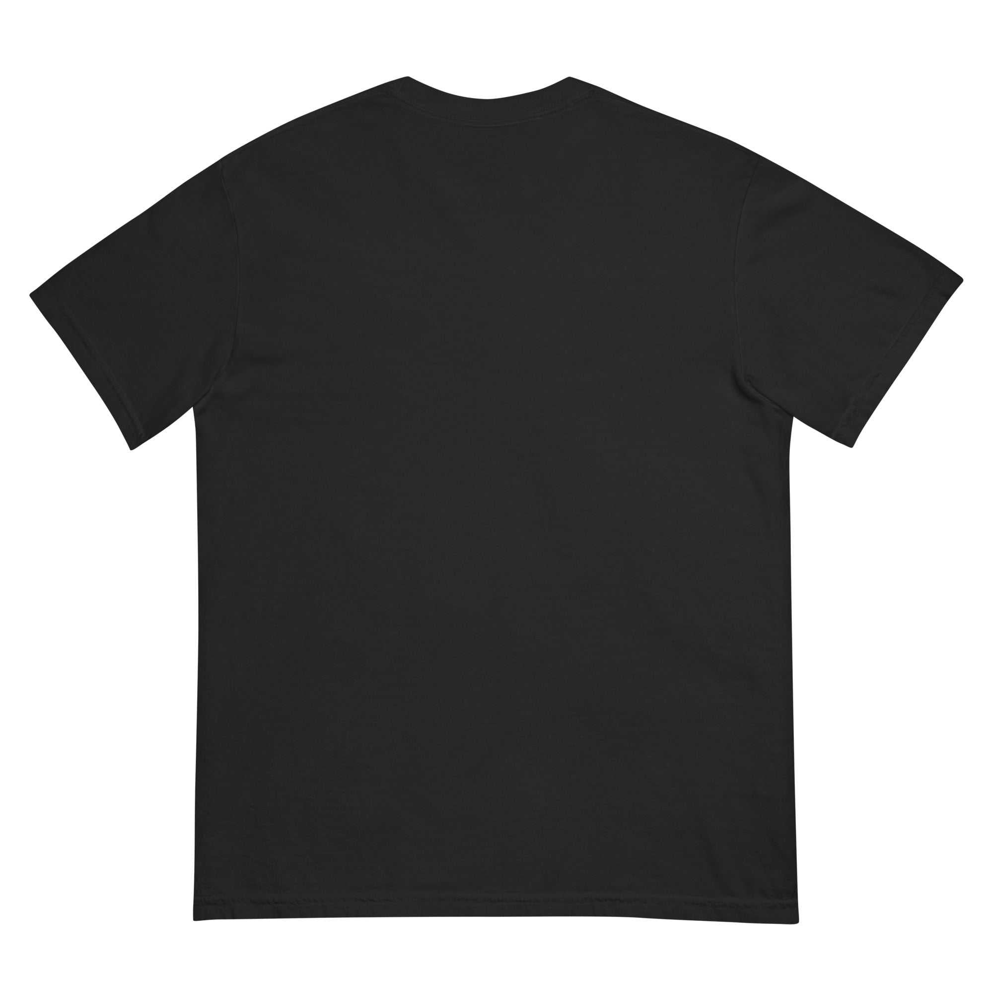 Black PROSPECT PARK premium heavyweight cotton t-shirt with relaxed unisex fit and vintage garment-dyed finish